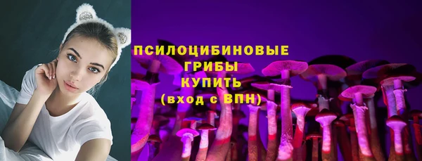 амф Аркадак