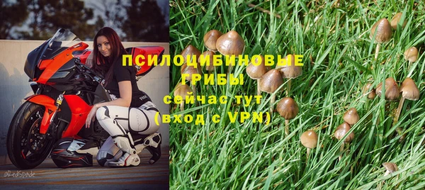 амф Аркадак