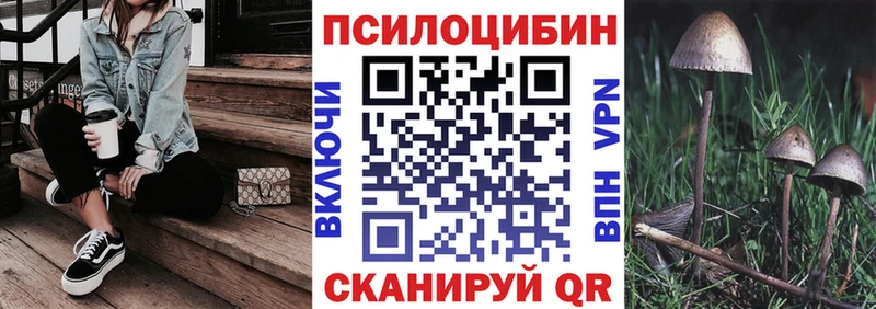 закладки  Асбест  Галлюциногенные грибы Psilocybe 